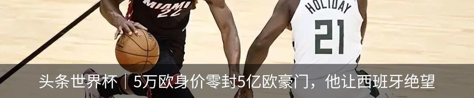 新闻动态