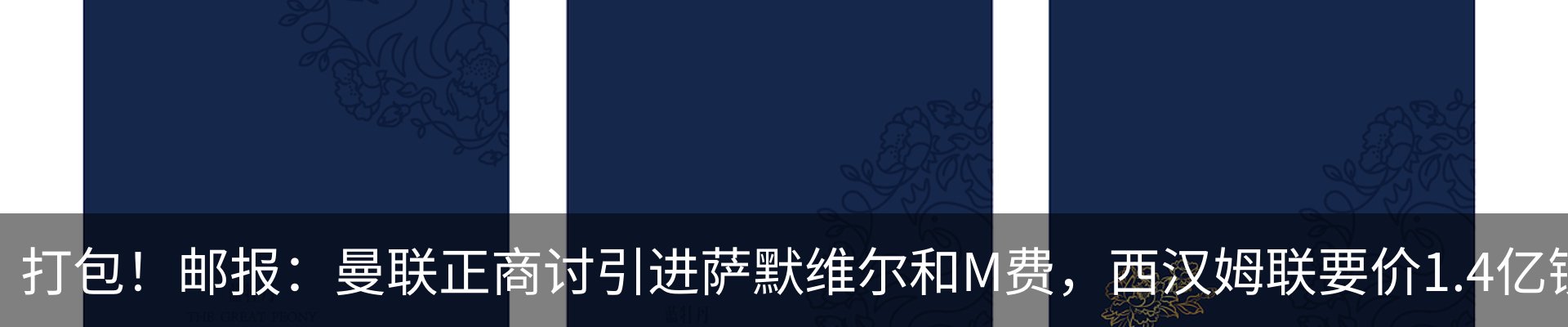 新闻动态