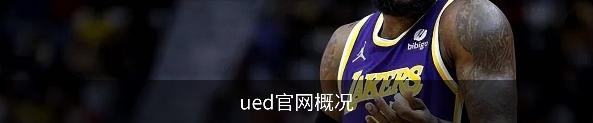 ued官网概况